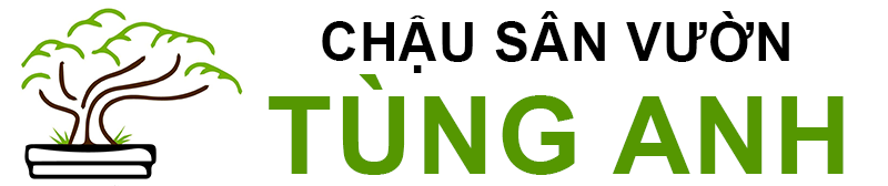 chausanvuon.com